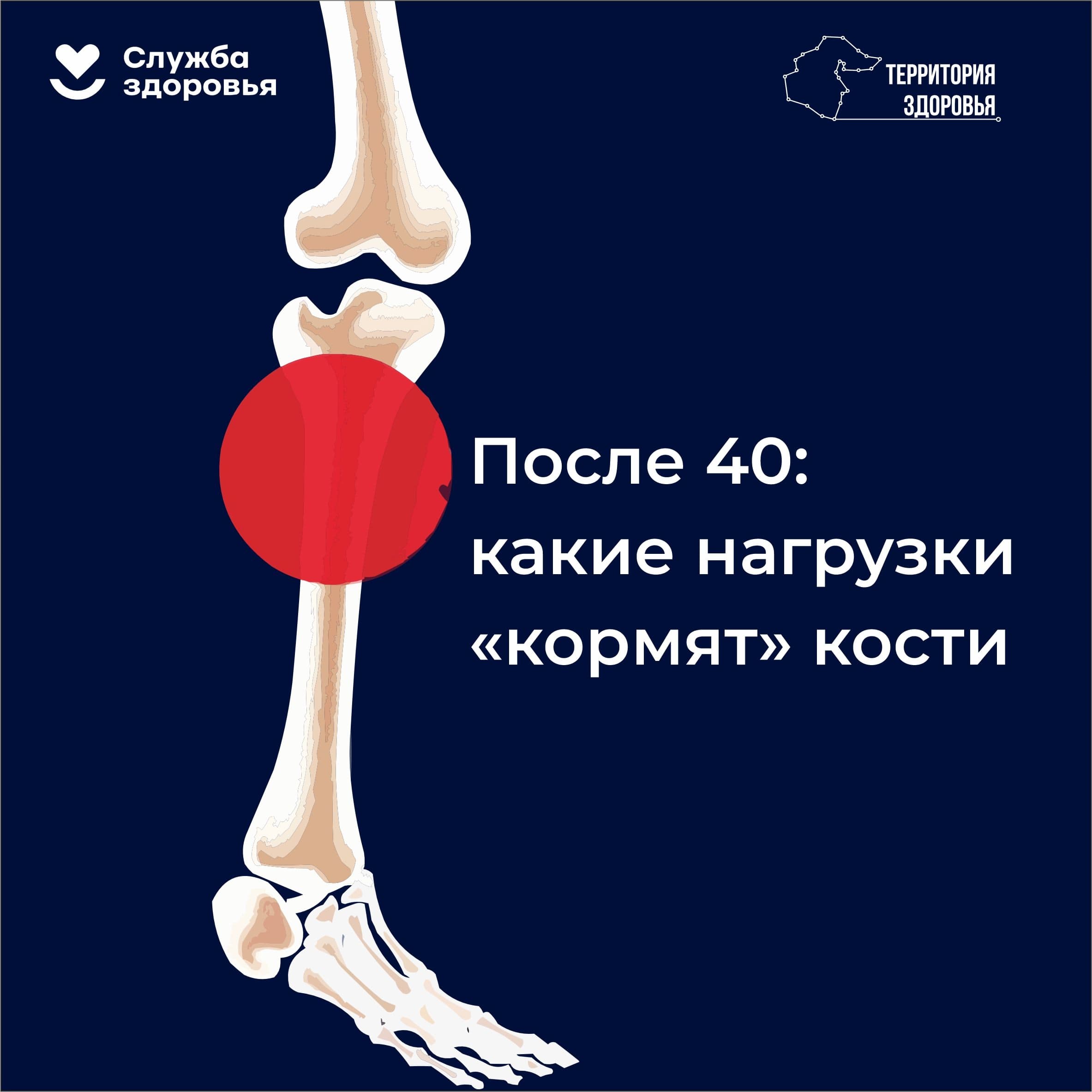 После 40: какие нагрузки «кормят» кости?