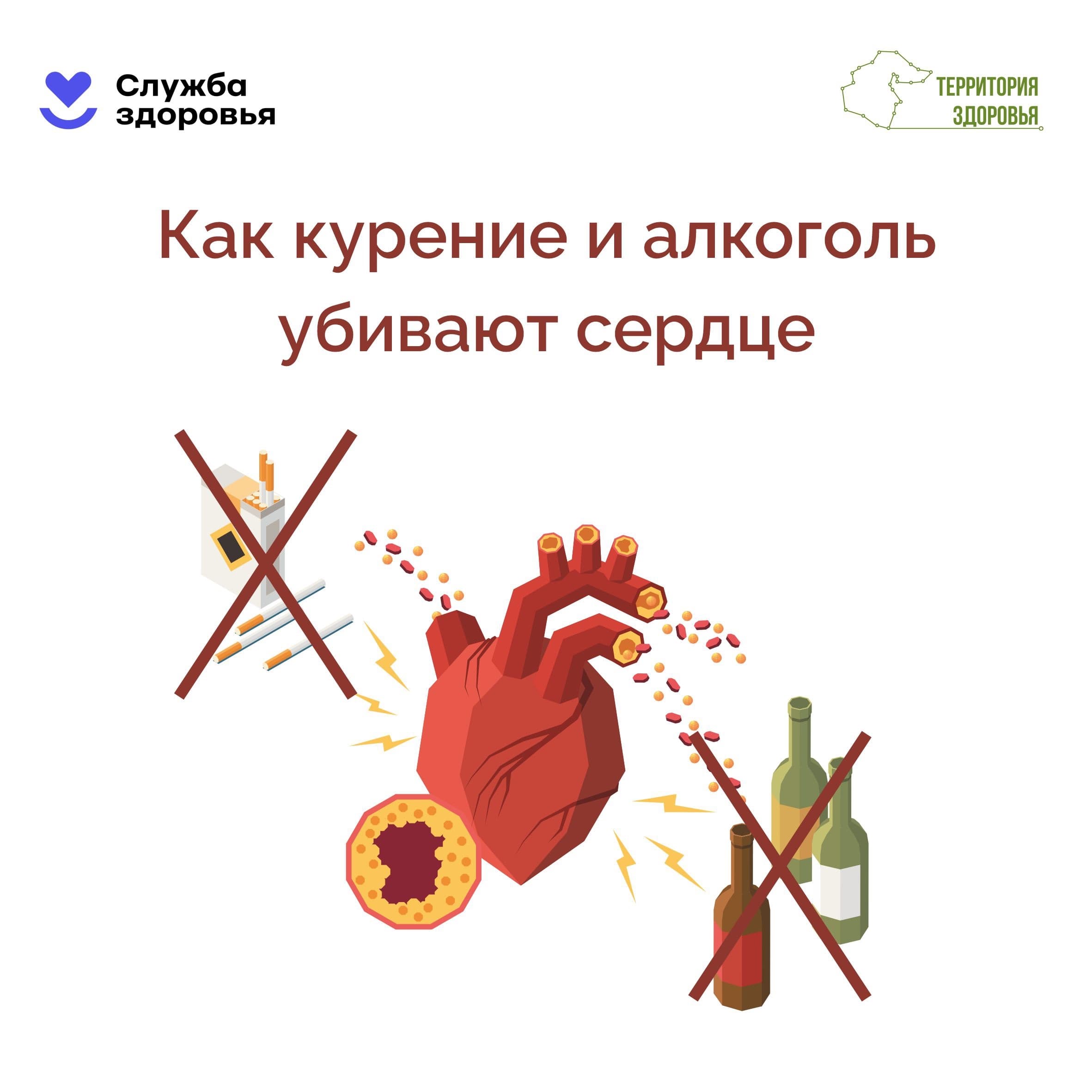 Как курение и алкоголь убивают сердце